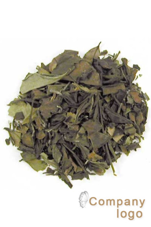 母豬眉白茶